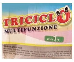 Triciclo bambino multifunzionale La Giraffa - 2